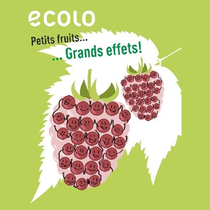 30/11 Petits fruits… Grands effets !